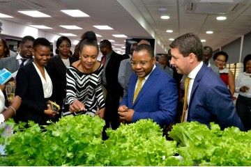 Utilize para ver mais