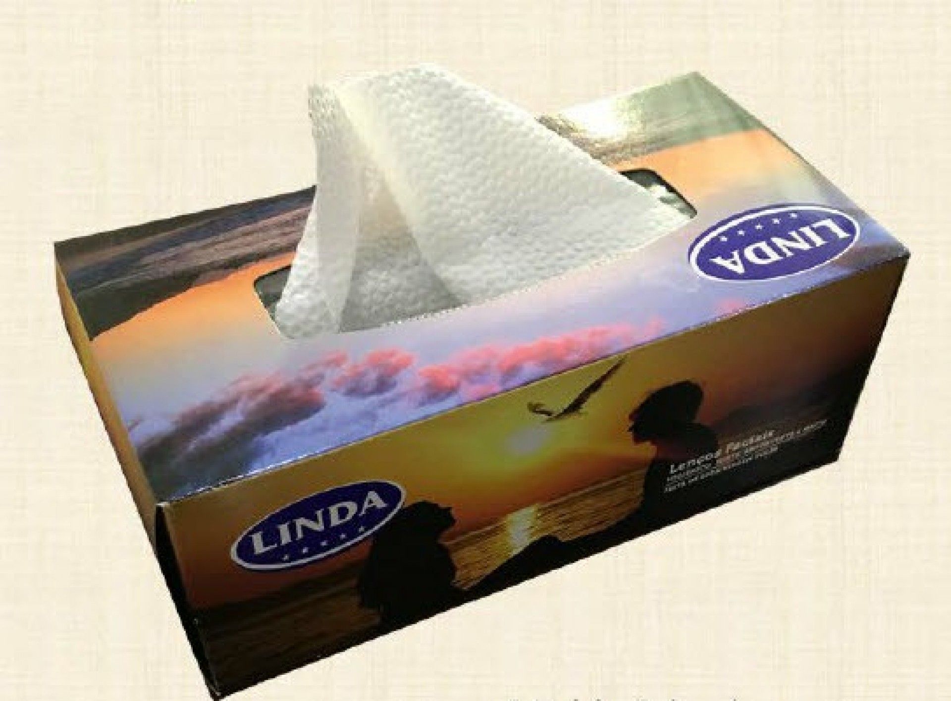 Lenços de carro 54fl